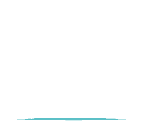 Baocam & Truss